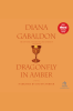 Dragonfly_in_amber